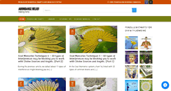 Desktop Screenshot of abundancebelief.com